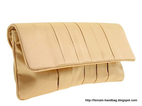 Female-handbag:handbag-1219026