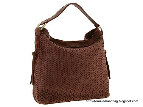 Female-handbag:handbag-1219043