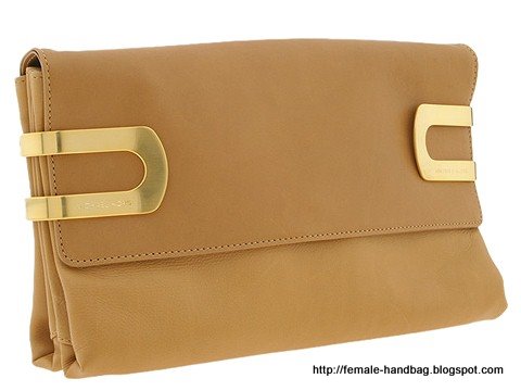 Female-handbag:handbag-1219046