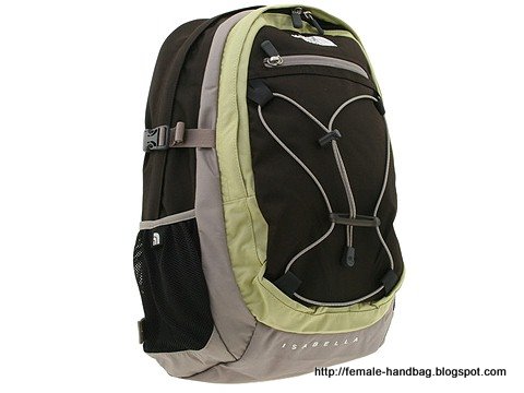 Female-handbag:handbag-1219051