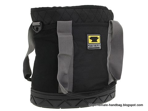 Female-handbag:handbag-1219223