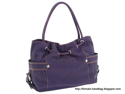 Female-handbag:handbag-1219240