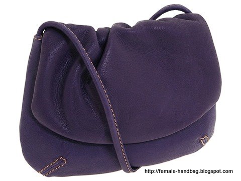 Female-handbag:handbag-1219247