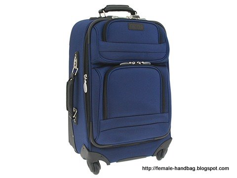 Female-handbag:handbag-1219259