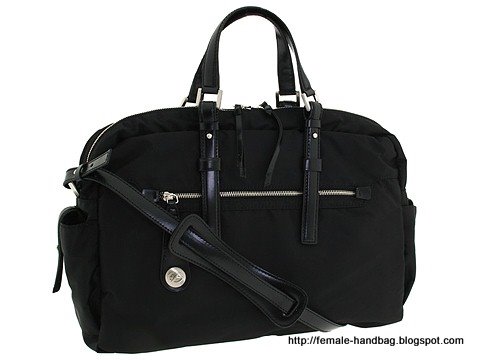 Female-handbag:handbag-1219265