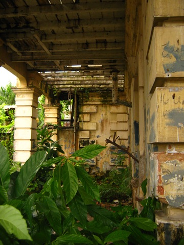 [IMG_56272.jpg]