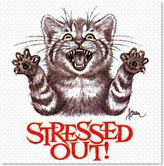 stressed20out20kitty