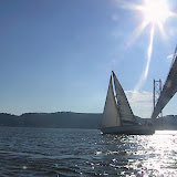 IMG_2622.JPG