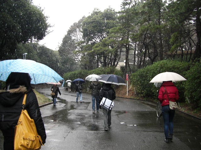 [CIMG00084.jpg]