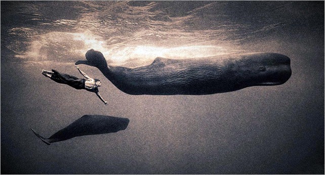 Gregory Colbert 6