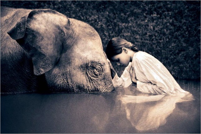 Gregory Colbert 2