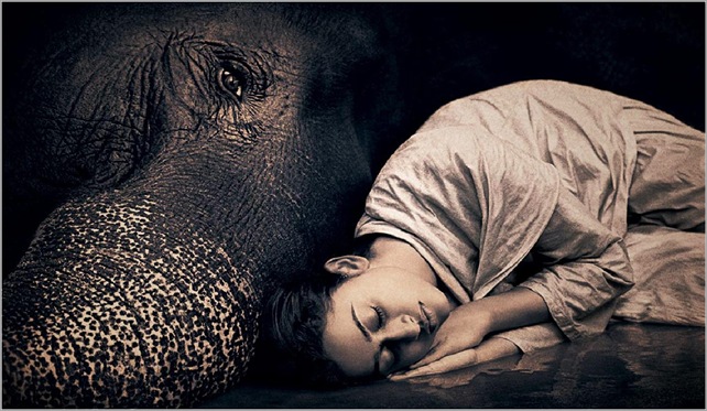 Gregory Colbert 25 Gregory Colbert 25