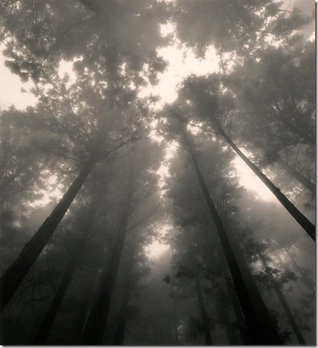 michael_kenna_01 michael_kenna_01