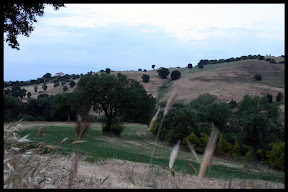 Agriturismo Serratone, Bed and breakfast, appartamenti al mare in affitto con piscina, aria condizionata e cucina per te e la tua famiglia