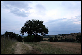 Agriturismo Serratone, Bed and breakfast, La tua vacanza lastminute in appartamento nel cuore della maremma toscana a un passo dal mare