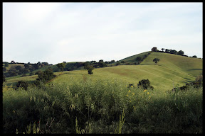 Agriturismo Serratone, Bed and breakfast, Lastsecond in appartamento con piscina e aria condizionata in Toscana
