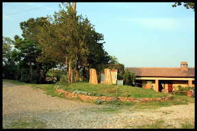 Agriturismo Serratone, Bed and breakfast, La vacanza lastminute in appartamento tra il mare e le colline toscane per te e la tua famiglia 
