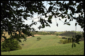 Agriturismo Serratone, Bed and breakfast, un indimenticabile weekend lastminute in appartamento con piscina e aria condizionata  al mare tra le colline della maremma toscana per te e la tua famiglia