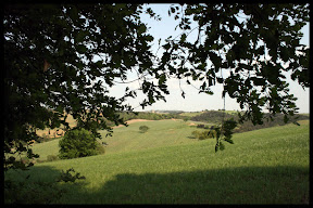 Agriturismo Serratone, Bed and breakfast, La tua vacanza lastminute in appartamento nel cuore della maremma toscana a un passo dal mare