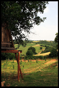 Agriturismo Serratone, Bed and breakfast, un indimenticabile weekend lastminute in appartamento con piscina e aria condizionata  al mare tra le colline della maremma toscana per te e la tua famiglia