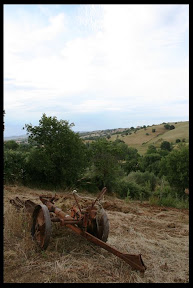Agriturismo Serratone, Bed and breakfast, La tua vacanza lastminute in appartamento a contatto con la natura toscana
