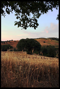Agriturismo Serratone, Bed and breakfast, un indimenticabile soggiorno lastminute in appartamento con piscina e aria condizionata  al mare tra le colline della maremma toscana per te e la tua famiglia