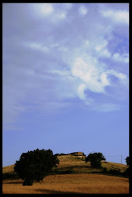 Agriturismo Serratone, Bed and breakfast, Lastminute in appartamento con piscina e aria condizionata in Toscana