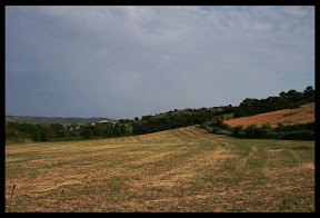 Agriturismo Serratone, Bed and breakfast, appartamenti in affitto con piscina, aria condizionata e tutti i confort nel pieno rispetto della natura toscana