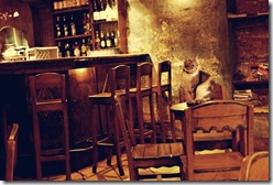 bar_sakini_by_alperbatu