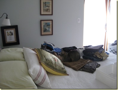 IMG_4773 IMG_4773