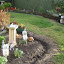 after's Mum's garden