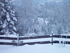 06.01.10 - Elger på Vanghaugen 1.jpg 06.01.10 - Elger på Vanghaugen 1.jpg