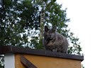 IMGP0262.JPG
