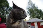 IMGP0320.JPG