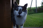 IMGP0365.JPG