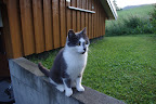 IMGP0404.JPG