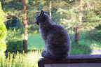 IMGP0028.JPG