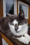 IMGP1244.JPG