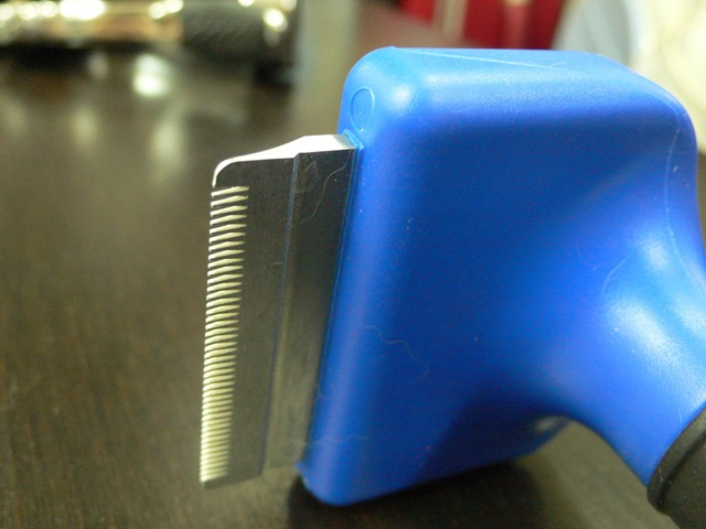 [P1010327_resize[8].jpg]