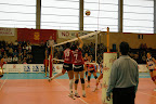 IMGP4615.JPG