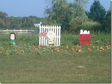 j.ohnsons farm