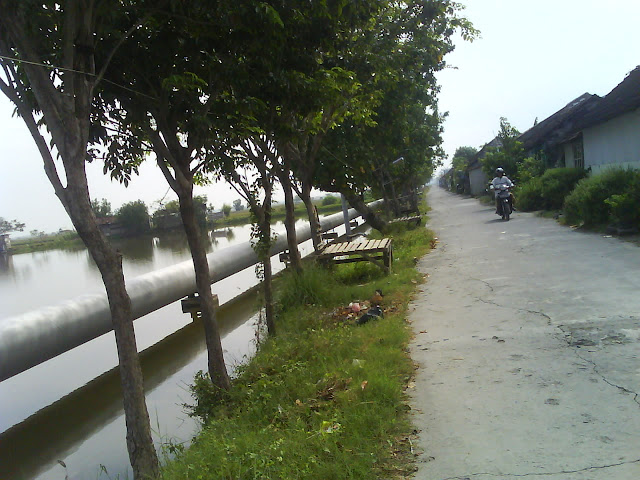[Image: DSC01205.JPG]
