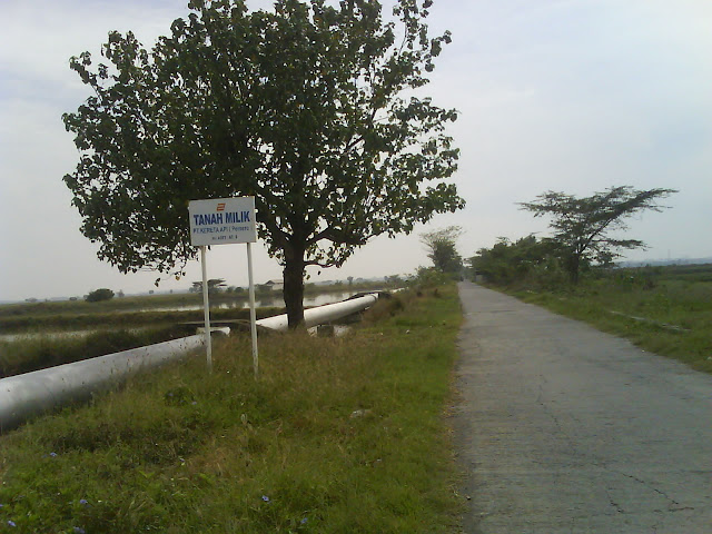 [Image: DSC01206.JPG]