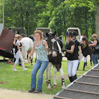 Manege battle