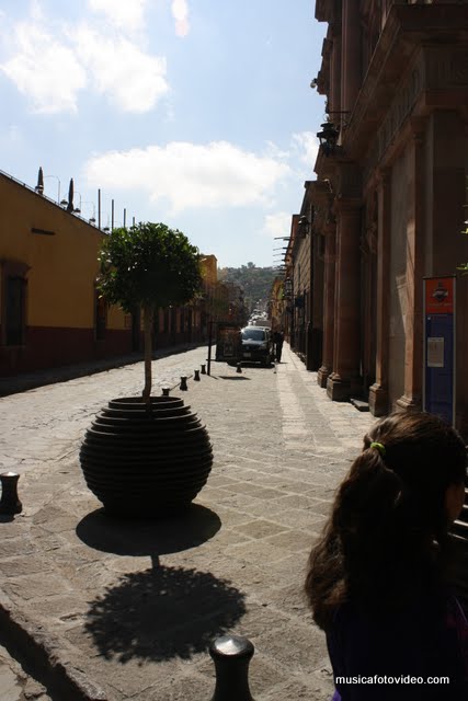 Imagen 661.jpg
