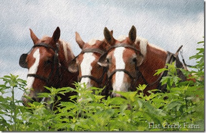 horse_painting