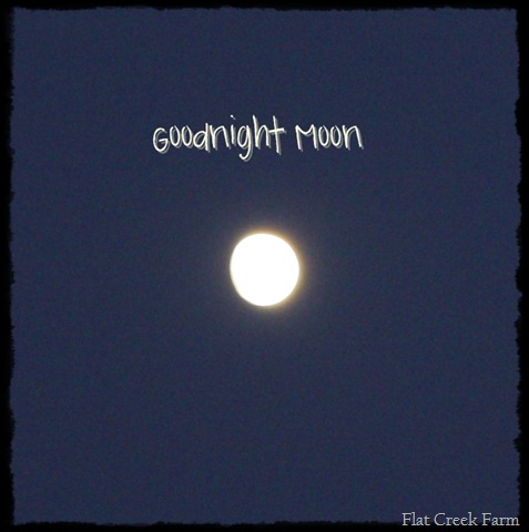 [gnight_moon[9].jpg]