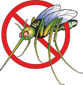 mosquitos, no gracias
