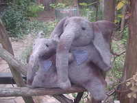 African Mudbath (2 sizes) African Mudbath (2 sizes)