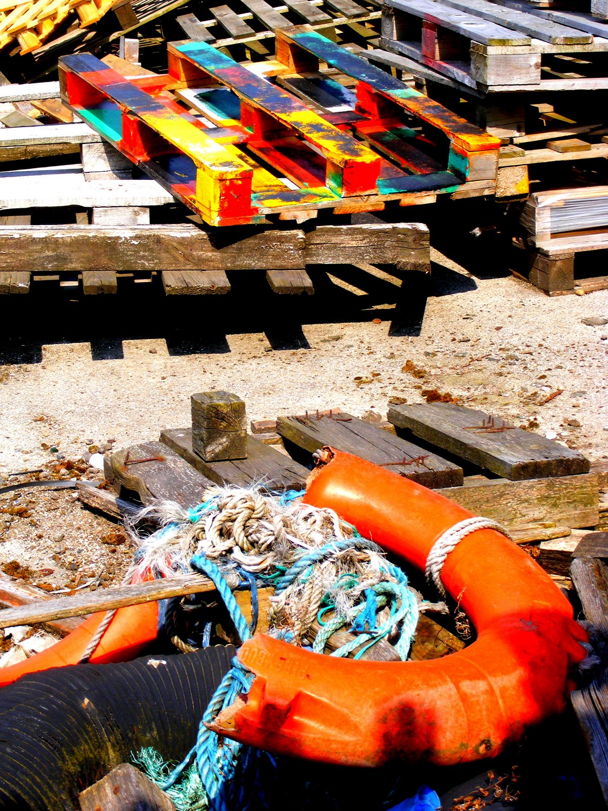 [2009_0424fishdock0132.JPG]
